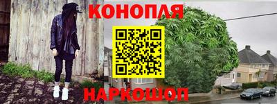 прущие грибы Кингисепп