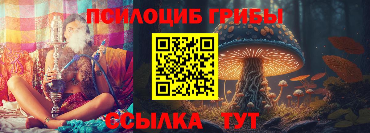 Костомукша  Галлюциногенные грибы GOLDEN TEACHER  Галлюциногенные грибы GOLDEN TEACHER  Вход с VPN 